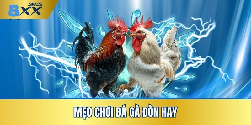 Mẹo chơi đá gà đòn hay dễ áp dụng tại nhà cái 8XX