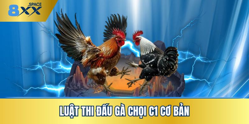 Tìm hiểu luật thi đấu gà chọi C1 cơ bản